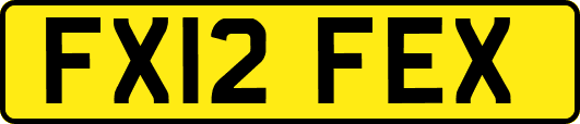 FX12FEX