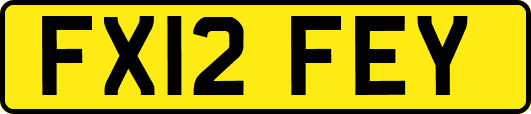 FX12FEY