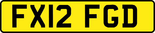 FX12FGD