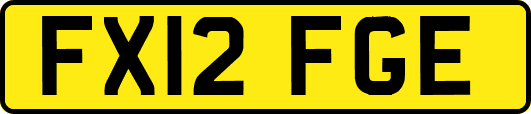 FX12FGE