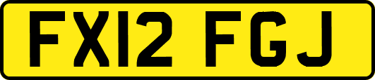FX12FGJ