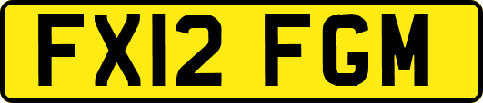 FX12FGM