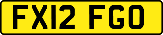 FX12FGO