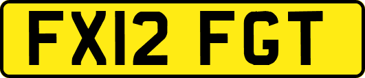 FX12FGT