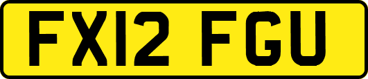 FX12FGU