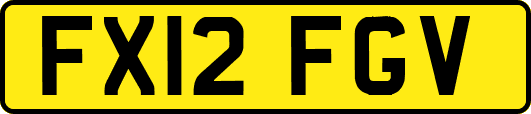 FX12FGV