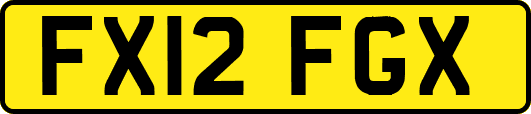 FX12FGX