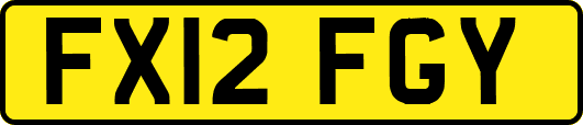 FX12FGY