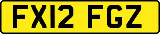 FX12FGZ