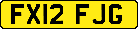 FX12FJG