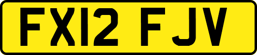 FX12FJV