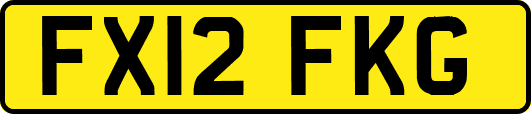 FX12FKG