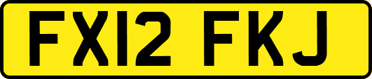 FX12FKJ