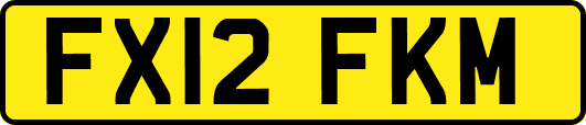 FX12FKM