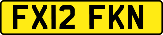 FX12FKN