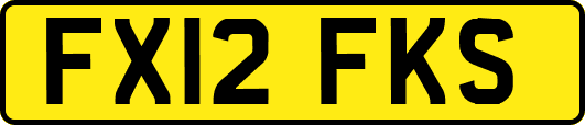 FX12FKS