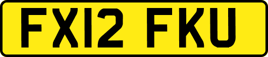 FX12FKU