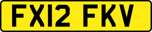 FX12FKV