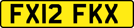FX12FKX