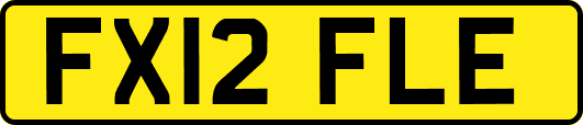 FX12FLE