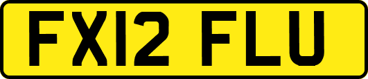FX12FLU