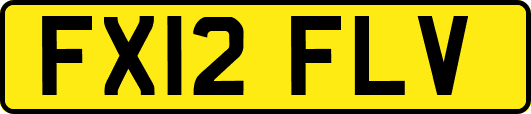 FX12FLV