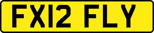 FX12FLY