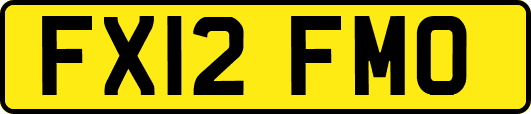 FX12FMO