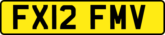 FX12FMV