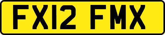 FX12FMX