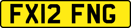 FX12FNG