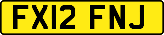 FX12FNJ