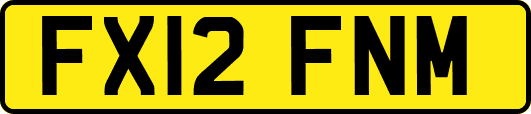 FX12FNM