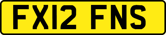 FX12FNS