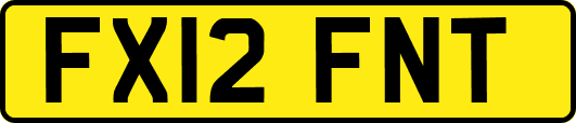 FX12FNT