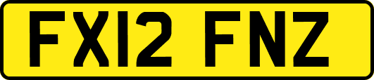 FX12FNZ
