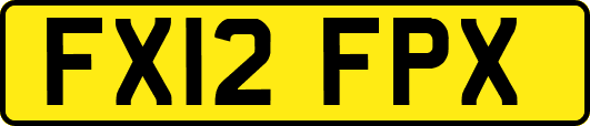 FX12FPX