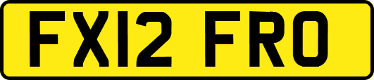 FX12FRO