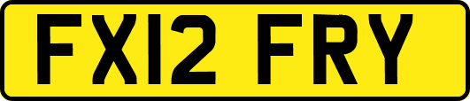 FX12FRY