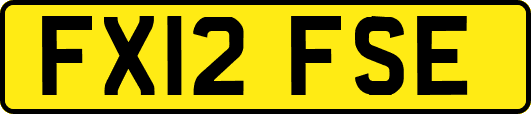 FX12FSE
