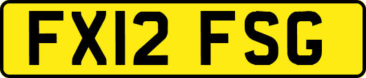 FX12FSG