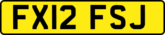 FX12FSJ