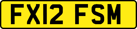 FX12FSM