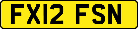 FX12FSN