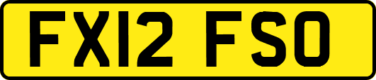FX12FSO