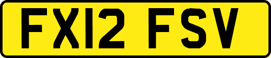 FX12FSV