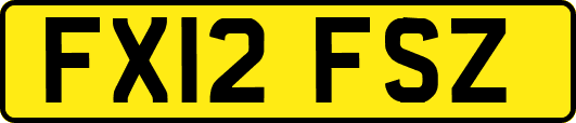 FX12FSZ