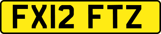 FX12FTZ