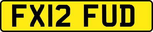 FX12FUD