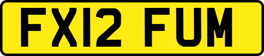 FX12FUM